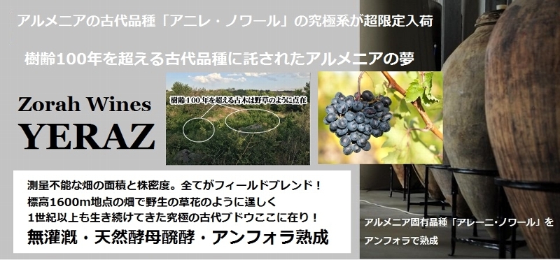 アルメニアのワイン ゾラ イェルズ Zorah